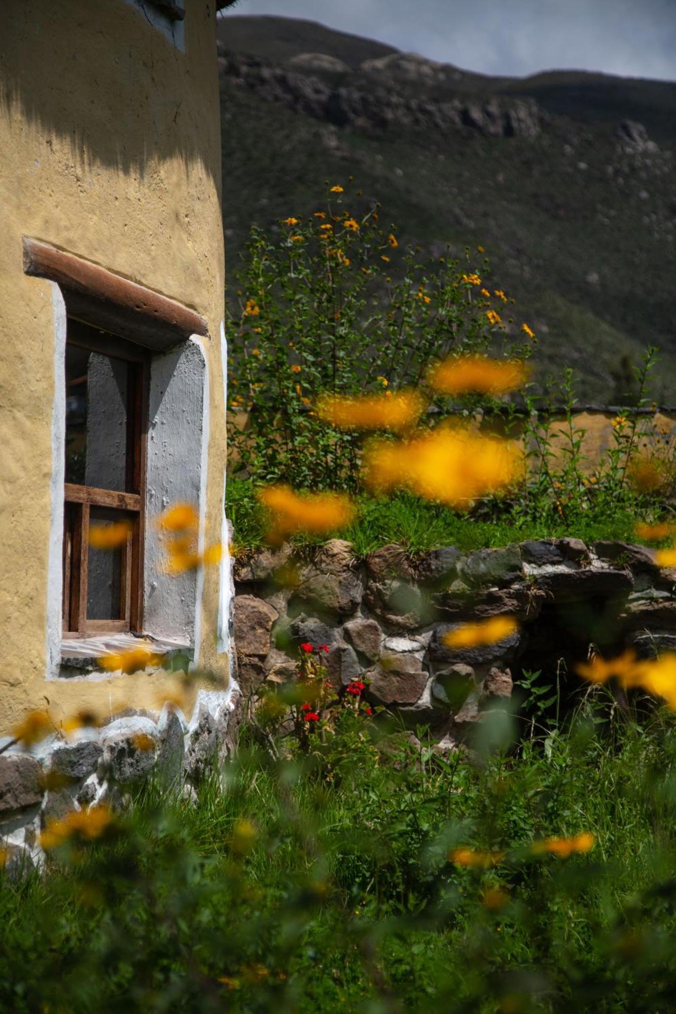 Gasthaus Ayni Wasi Coporaque Exterior foto